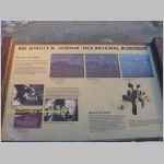 20060812_JoshuaYuccaTree_032 copia.jpg